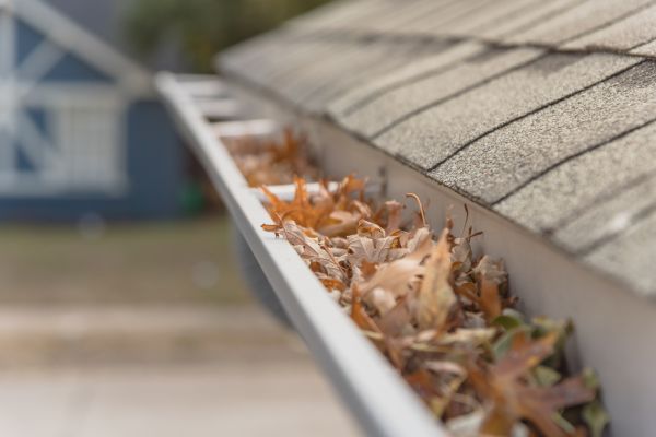 Leaf Barrier Installation in Clifton Park